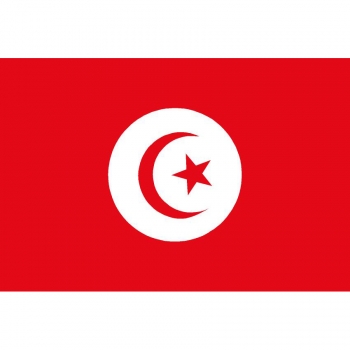 Tunisia flag