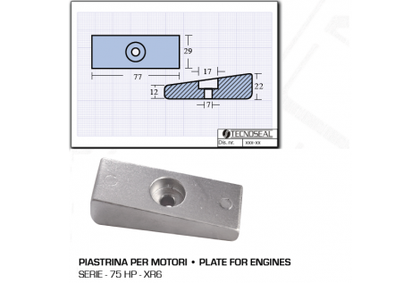 Plate for 75 HP XR6 Engines