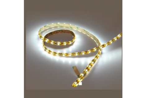 Walkable Led Serpentine