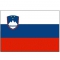 Slovenia flag