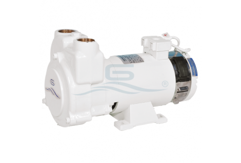 Gianneschi CB electric pump