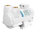 Gianneschi CP 20 electric pump