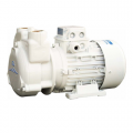 Gianneschi CP 30 electric pump